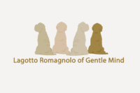 LagottoRomagnolo_ofGentleMind.jpg