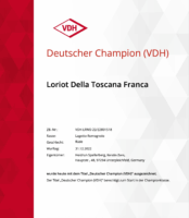 Deutscher Champion (VDH)