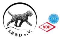 Logo VDH klein.png