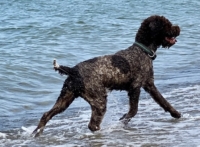 IMG_0341.jpeg