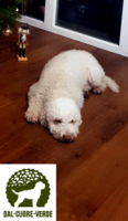 Molly mit 