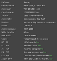 2023-03-27 Pedigree.png