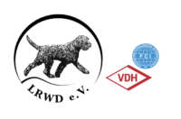 Logo VDH für Signatur.png