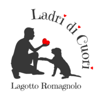 Logo_LRWD.jpg