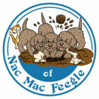 NMF-2-300x300.png