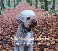 dalla Montagna Calamina
